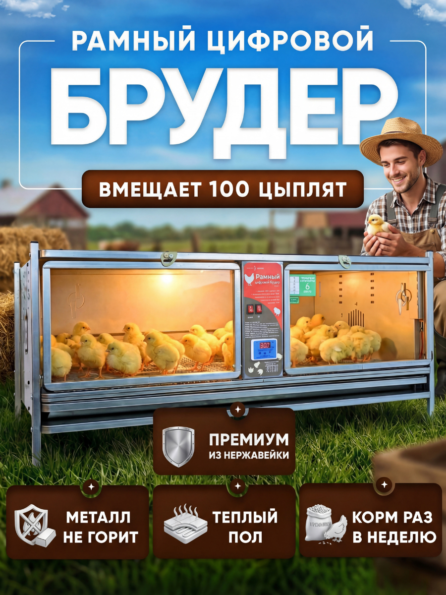 Брудер для цыплят на 100 голов электронный рамный 0717